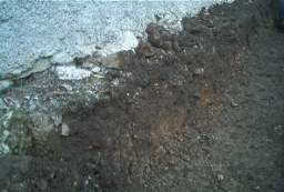 coolross 1290.JPG